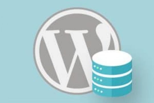 database wordpress backup